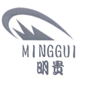 MGG明貴視力