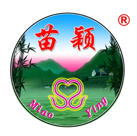 苗穎竹蓀鵝火鍋