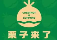 栗子來了