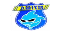 飛魚代駕