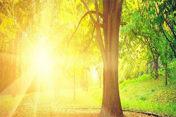 蒙田森學前教育