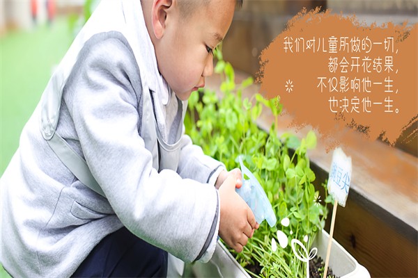 蒙田森學前教育