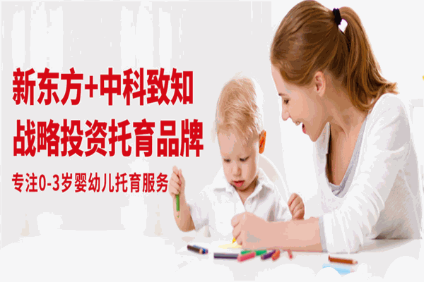 多樂小熊 多樂小熊