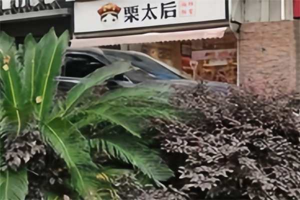 栗太后板栗加盟 栗太后板栗加盟