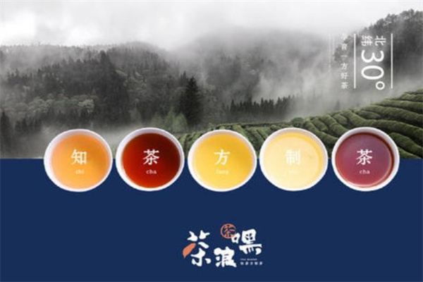 茶浪嘿奶茶加盟 茶浪嘿奶茶加盟