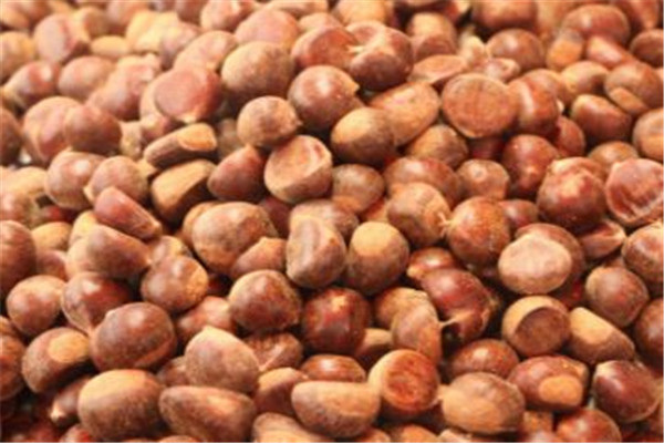 粒上皇炒板栗店