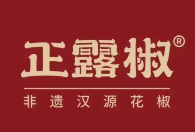 加盟未來，一站洞察！SFE連鎖加盟展四大核心板塊全揭秘！