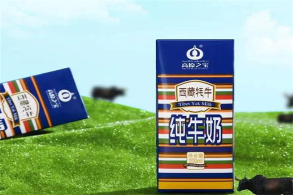 高原之寶牦牛奶