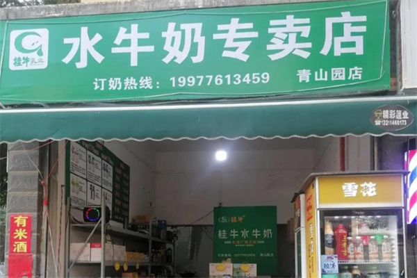 桂牛牛奶 桂牛牛奶