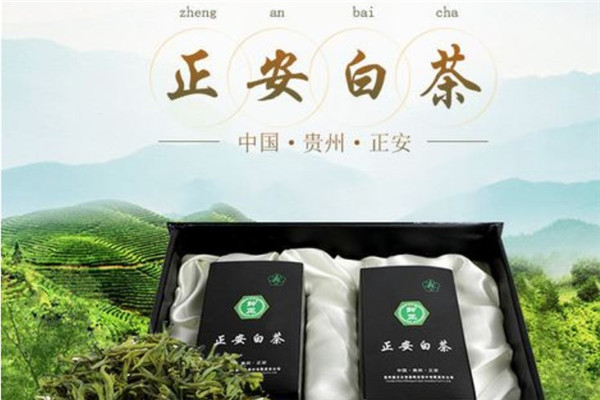 正安白茶 正安白茶