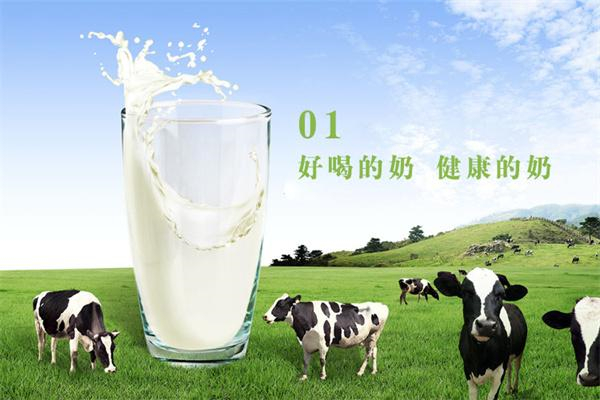 廣澤奶站 廣澤奶站