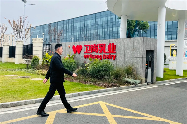 衛(wèi)崗鮮牛奶