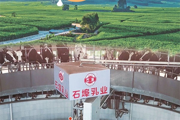 石埠乳業(yè) 石埠乳業(yè)