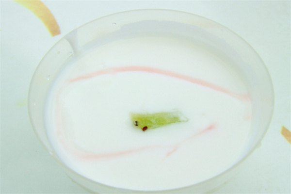 每汁每味現(xiàn)釀酸奶 每汁每味現(xiàn)釀酸奶