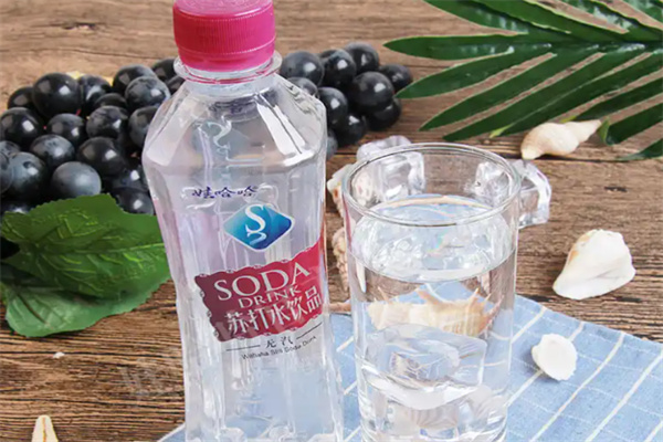 娃哈哈蘇打水 娃哈哈蘇打水